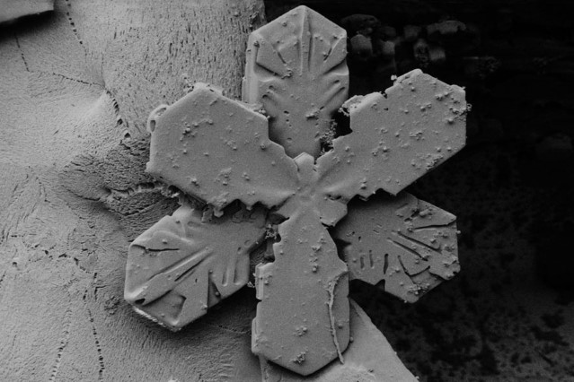 Electron_Microscope_Snow_2