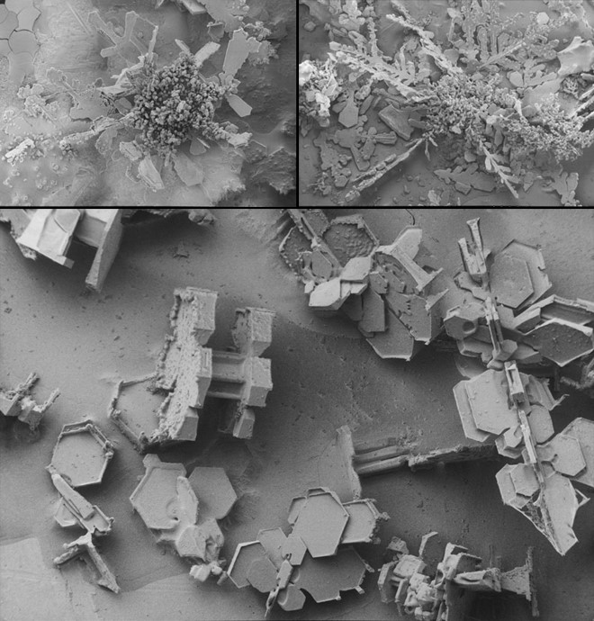 Electron_Microscope_Snow_5