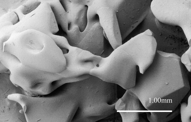 Electron_Microscope_Snow_7