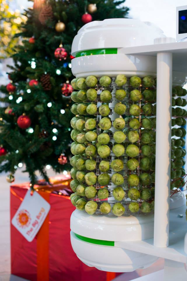 Power cells in Brussels sprout tree