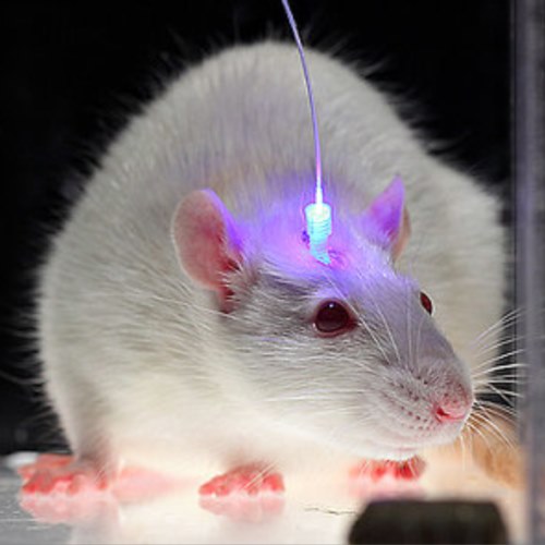 Optogenetics