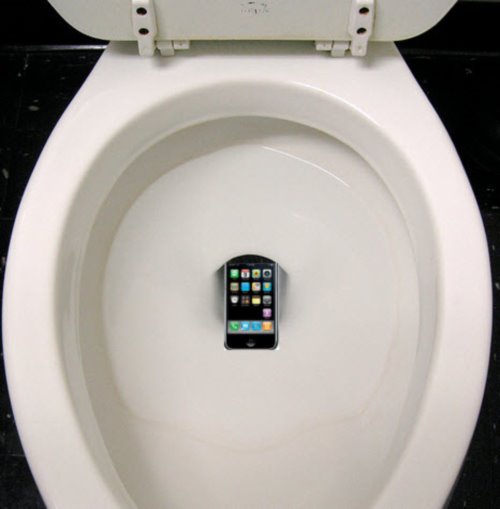 Phone dropped in toilet