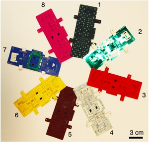 Foldscope_Image