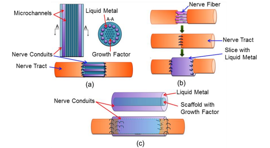 Liquid metal nerves chart