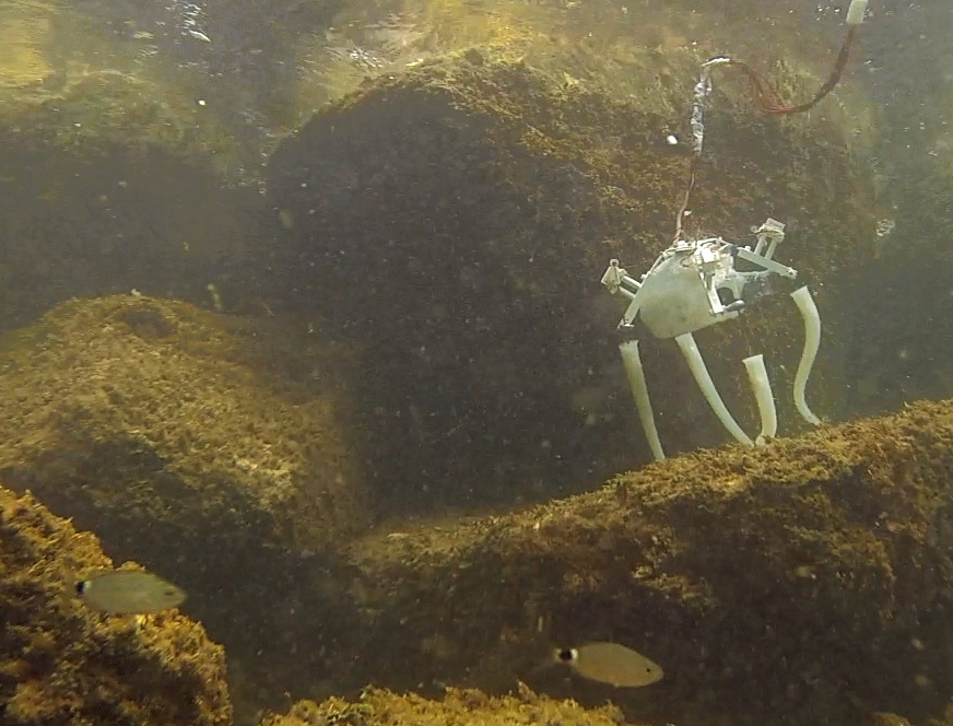 PoseiDrone underwater