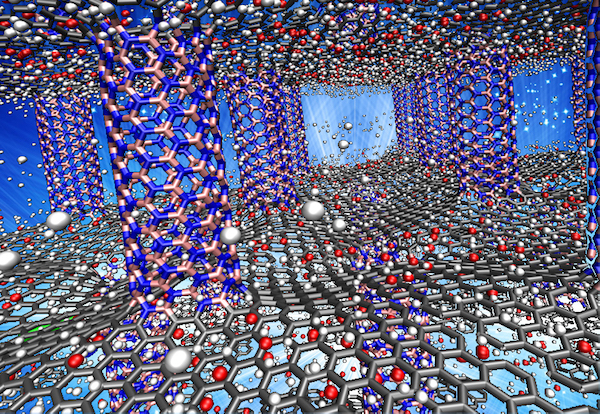 Hydrogen fuel cell