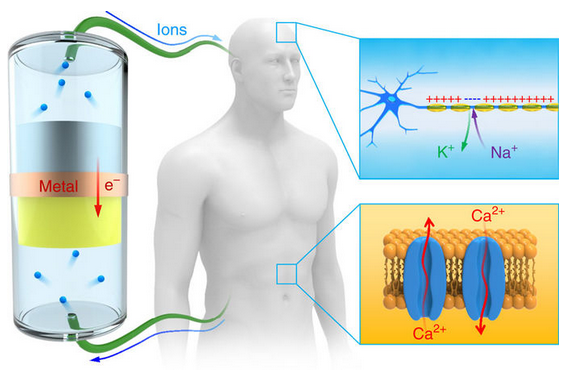 ionic battery