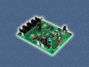 Low Voltage Digital PWM Motor Control