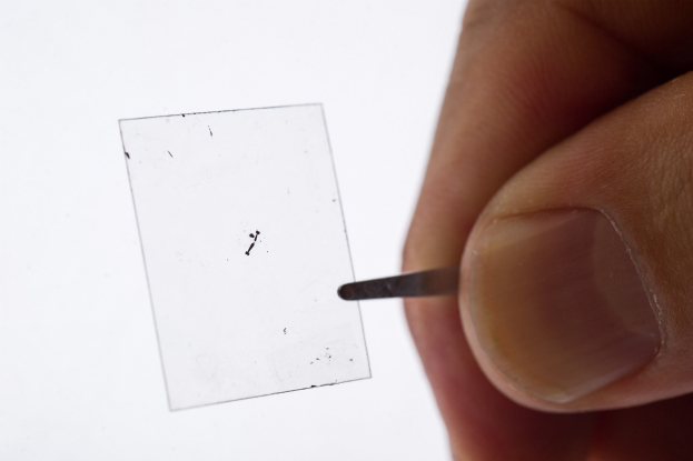 Molybdenum_Disulfide