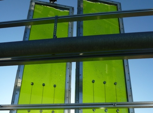 Tanks that contain algae provide shade and act as a sound buffer 