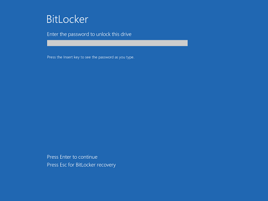 BitLocker10