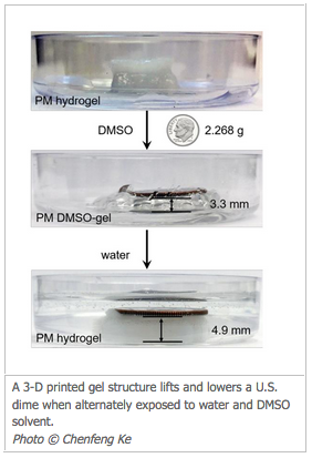 3D_printed_gel_structure