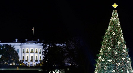 White House Christmas Trees - Girls Who Code