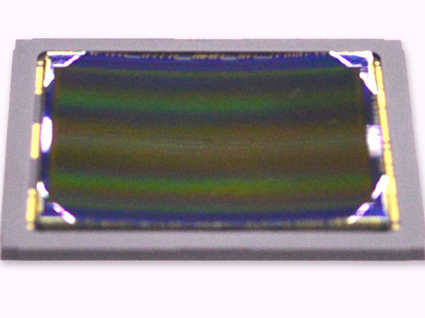 Sony curved CMOS sensor