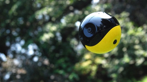 Squito throwable camera