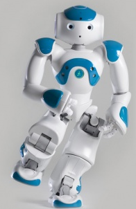 Nao H25