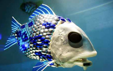 Pollution Sensing Fish