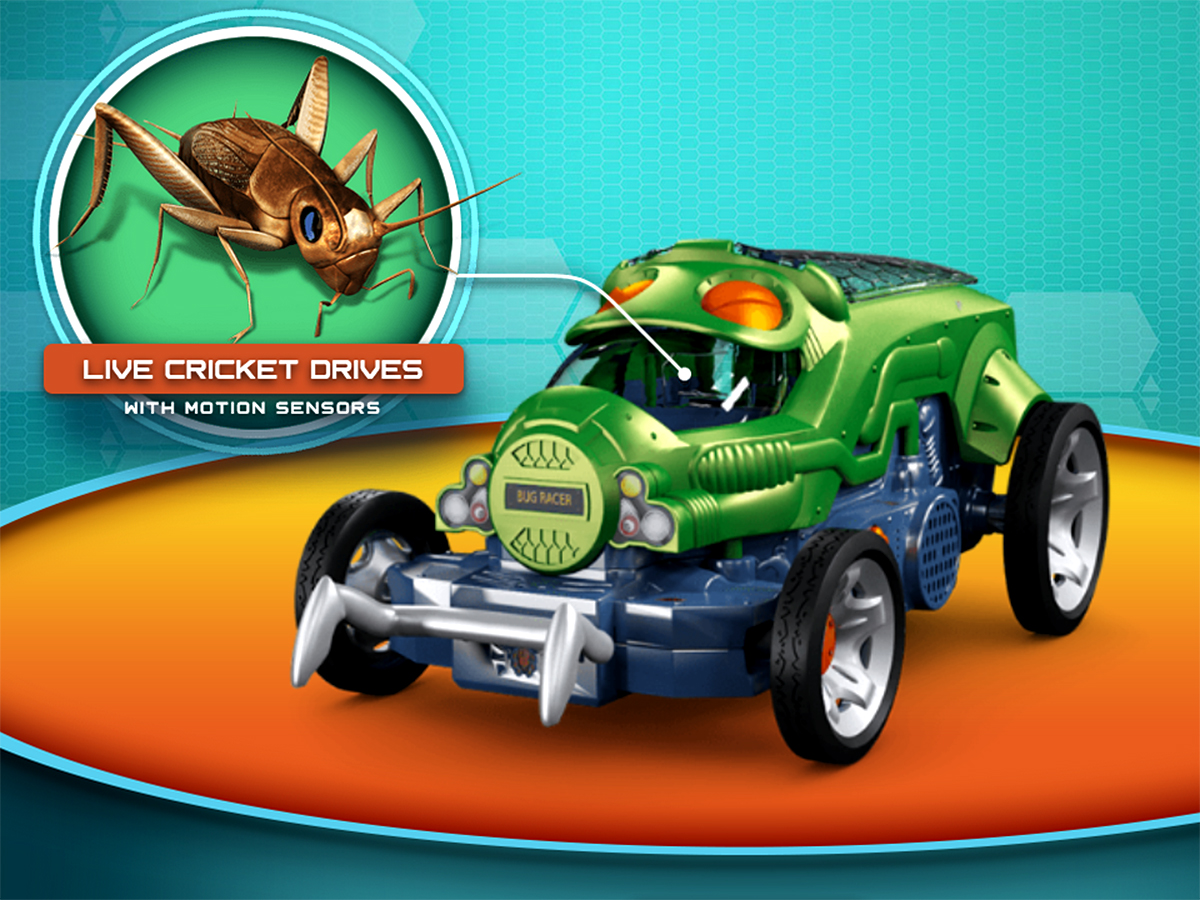 Bug Racer 2