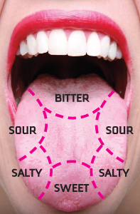 Diagram of tongue tastes