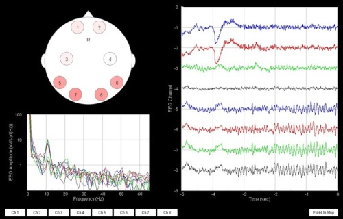 OpenBCI screenshot