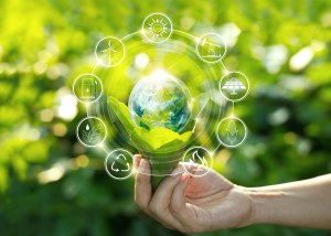 Shutterstock image showing a hand holding light bulb against nature on green leaf with energy source icons for renewable, sustainable development.