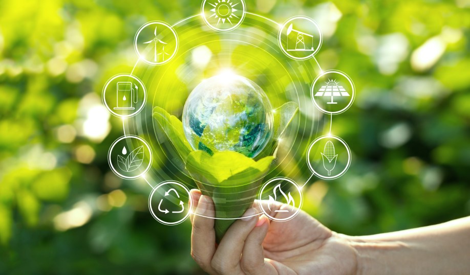 Shutterstock image showing a hand holding light bulb against nature on green leaf with energy source icons for renewable, sustainable development.