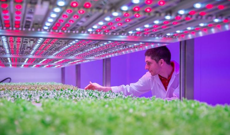 Philips_GrowWise_City_Farming_Facility