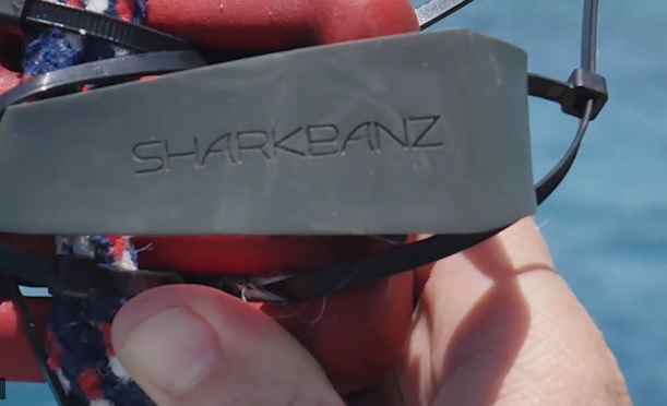 SharkBanz Wearable